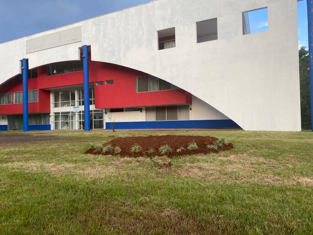 UAB: Inscrições abertas para Especialização em Educação a Distância na Educação Profissional e Tecnológica