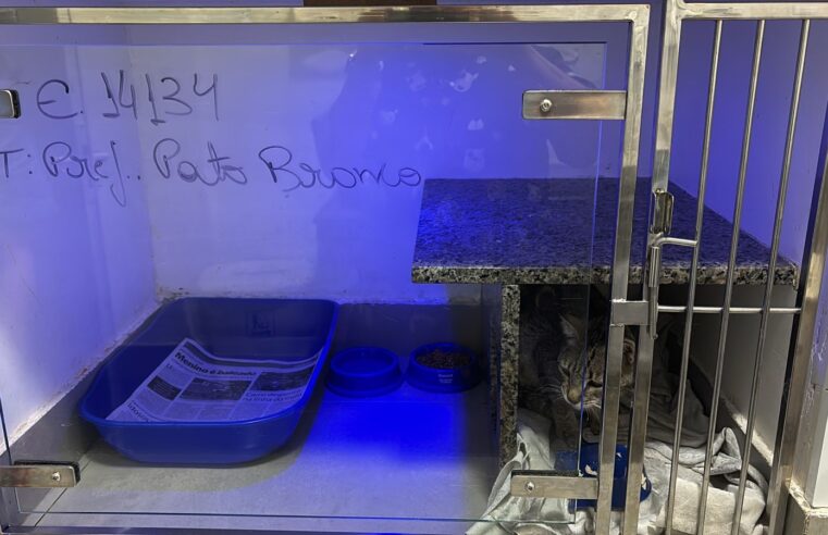 Prefeitura esclarece o funcionamento do PROBEM