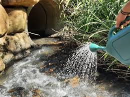 Secretaria de Agricultura promove distribuição de biolarvicidas para comunidades rurais de Pato Branco