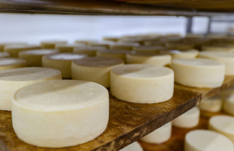 Paraná adere a convênio que concede isenção do ICMS para queijo, requeijão e doce de leite