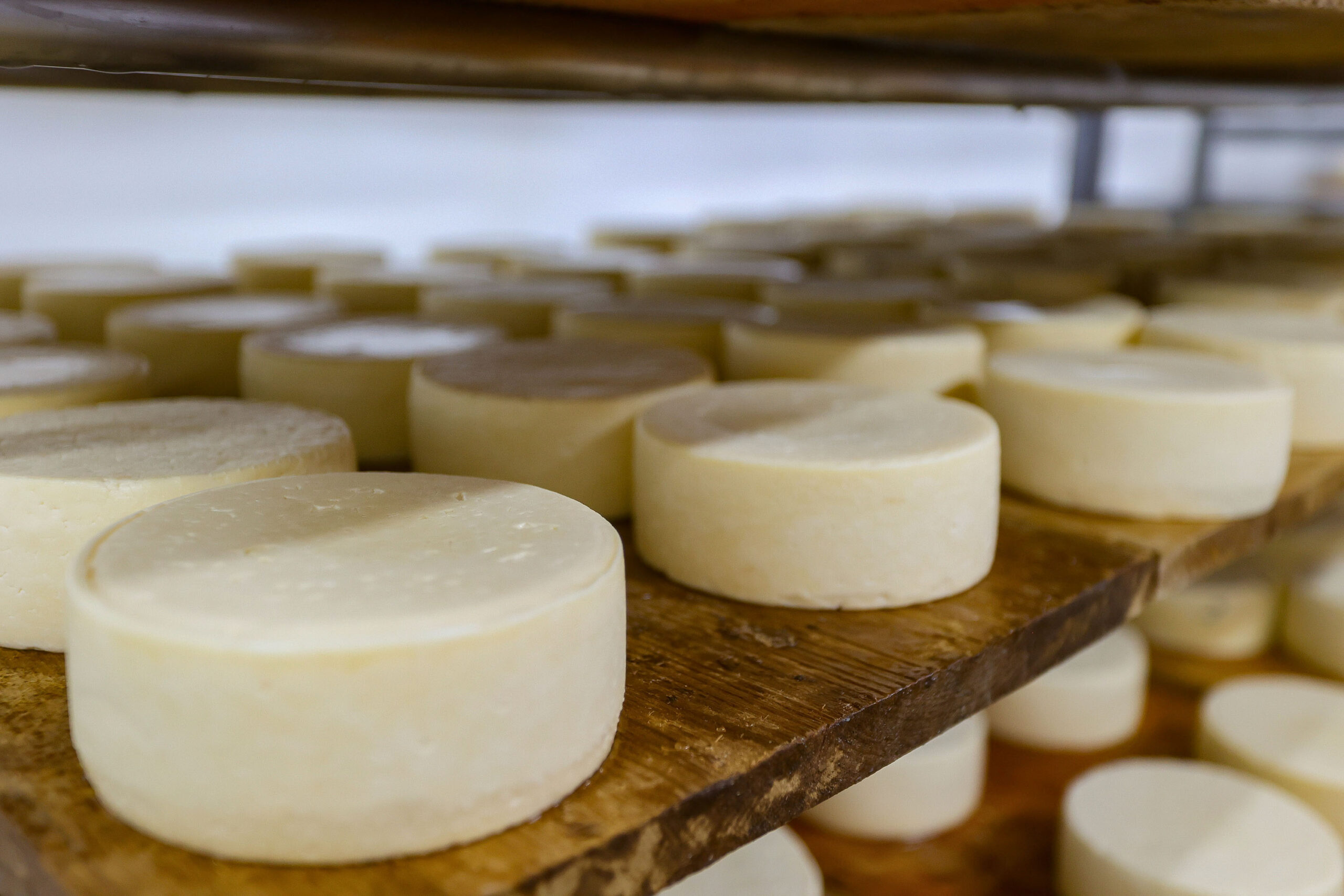 Paraná adere a convênio que concede isenção do ICMS para queijo, requeijão e doce de leite