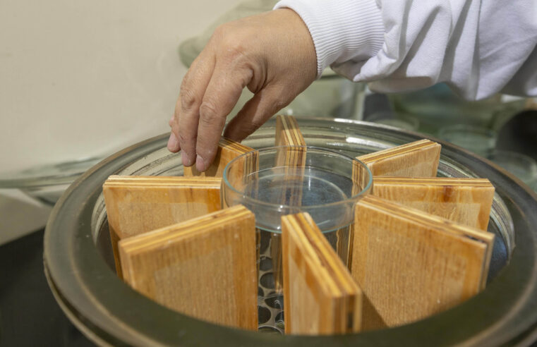 Tecpar e UFPR compartilham laboratório para estudos na área florestal e madeireira