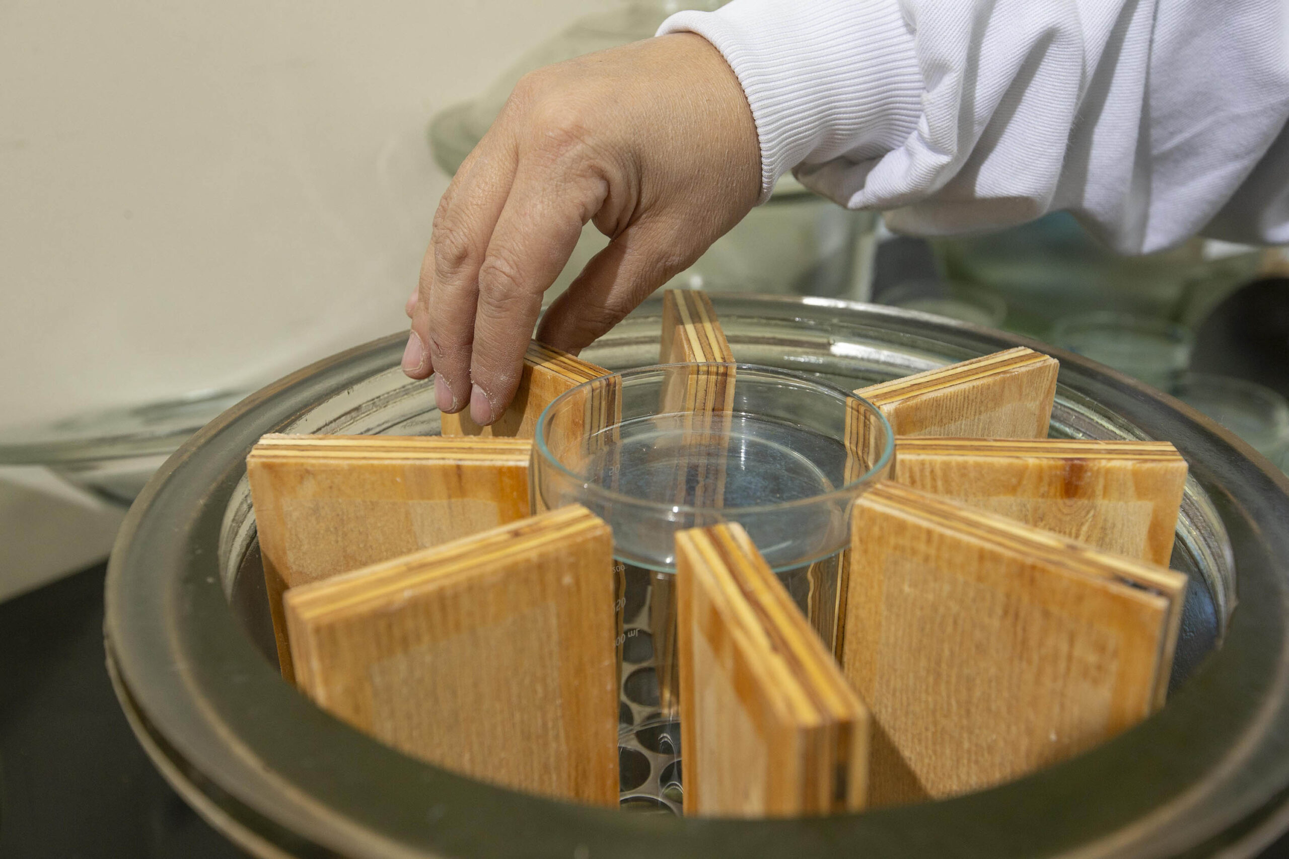 Tecpar e UFPR compartilham laboratório para estudos na área florestal e madeireira