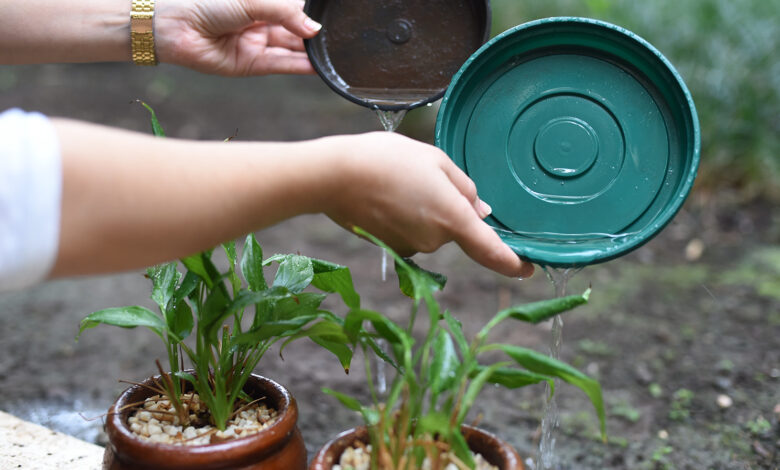 Mutirão contra a dengue será realizado no bairro São João e Vila São Pedro