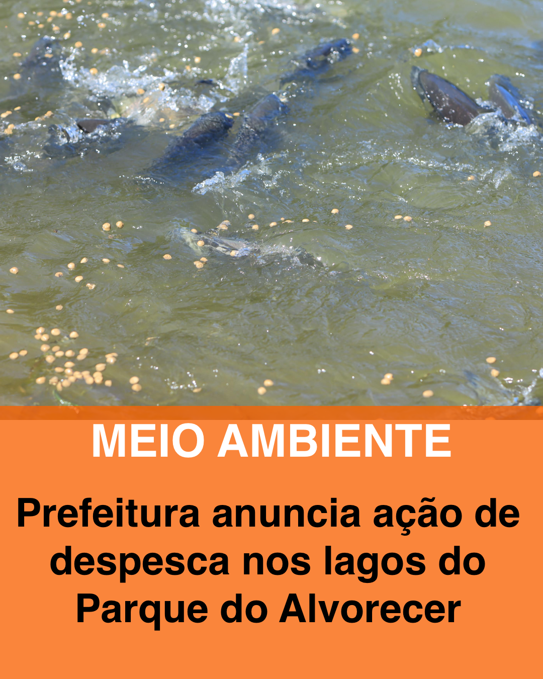 Prefeitura anuncia ação de despesca nos lagos do Parque do Alvorecer