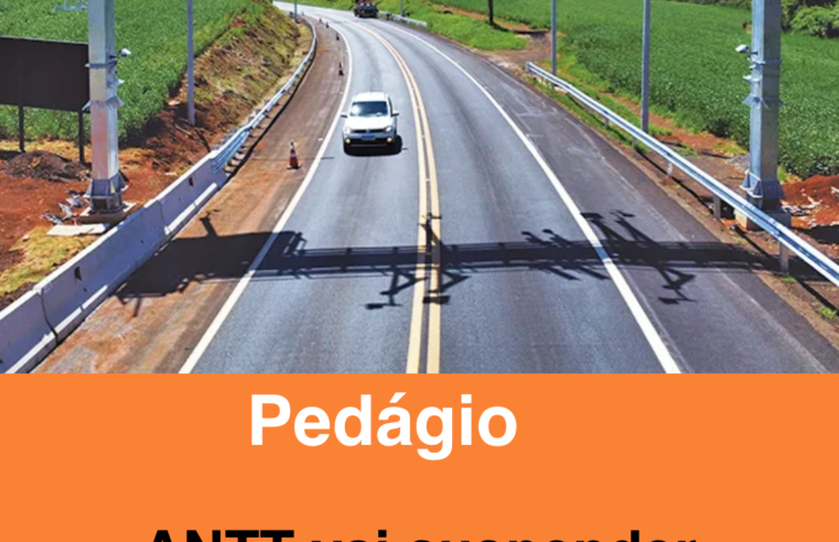 ANTT vai suspender cobranças indevidas do pedágio free flow no Paraná