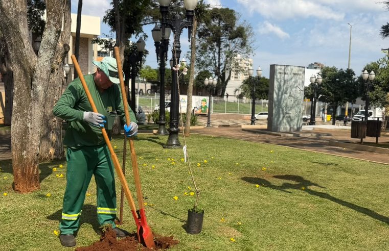 Dia da Árvore tem programação especial com plantio, distribuição de mudas e coleta de eletrônicos