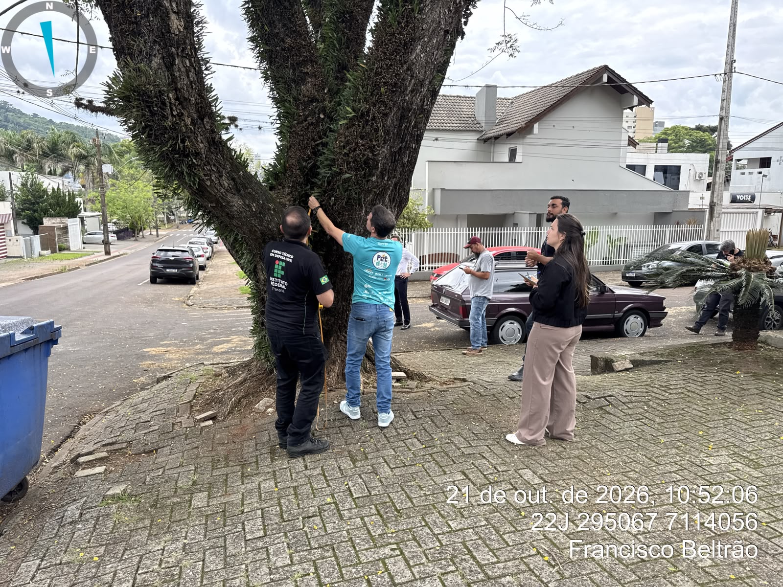 Prefeitura de Francisco Beltrão inicia avaliação técnica de árvores de grande porte