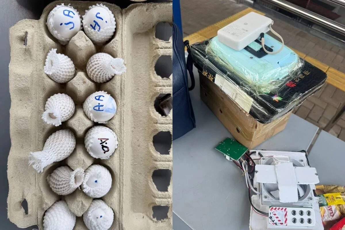 Ovos de aves de R$ 9 milhões apreendidos no PR