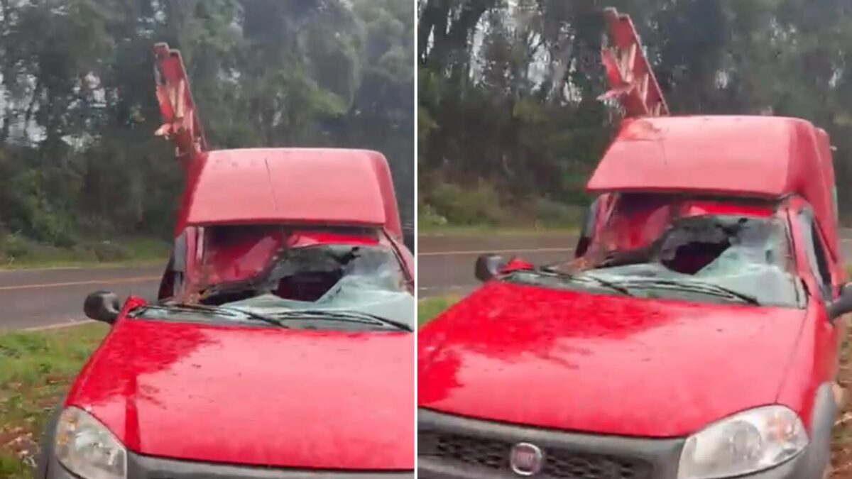 Sobrevivência milagrosa em temporal no Paraná